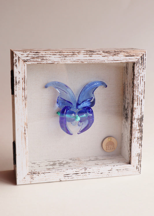 Blue Jade Glass Butterfly in 5.5” x 5.5” Shadowbox
