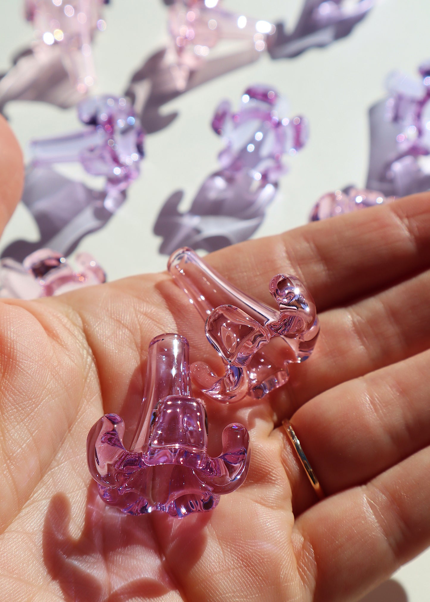 Single Puakenikeni Flowers - Pink and Purple