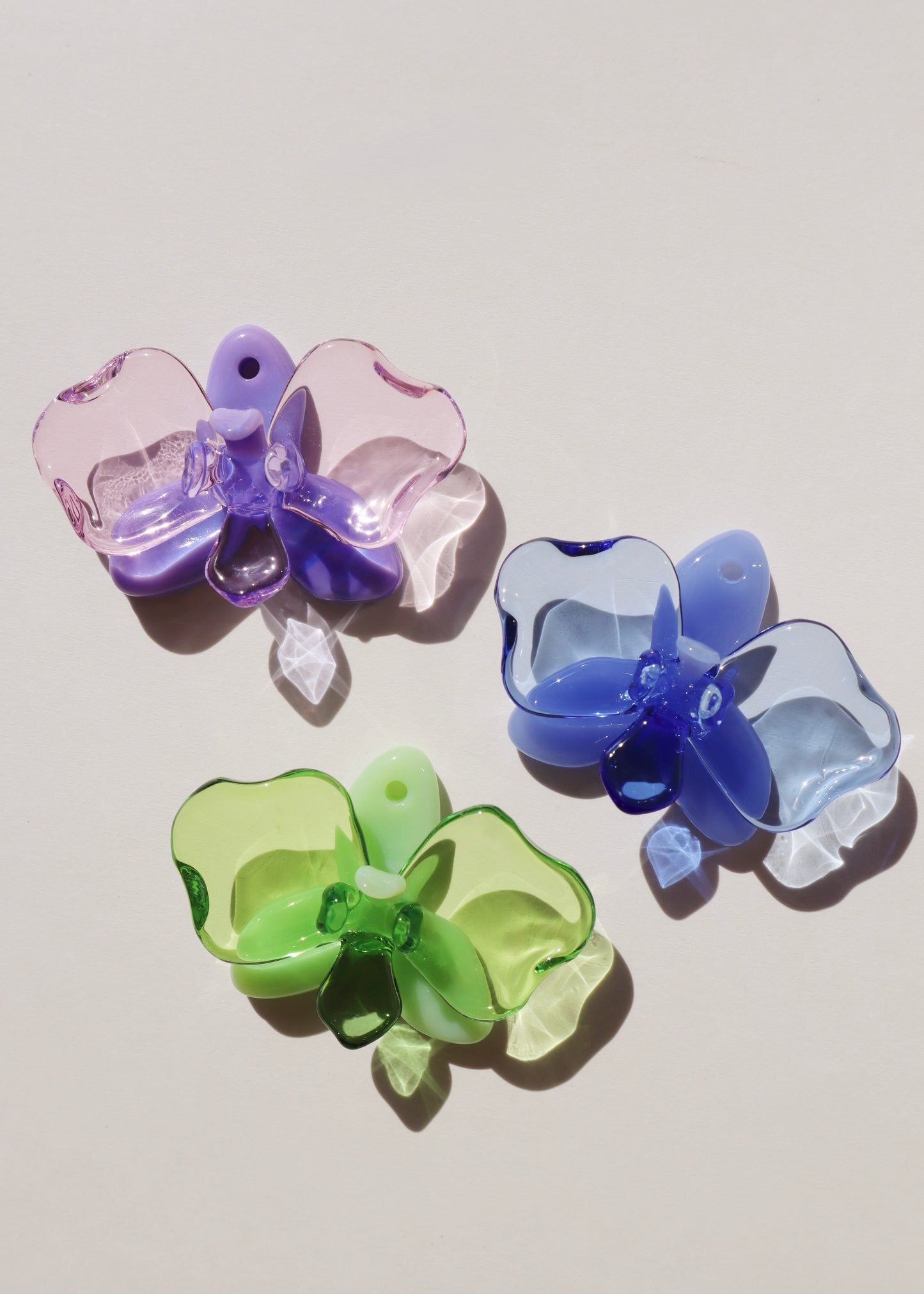 Single Orchid Flowers