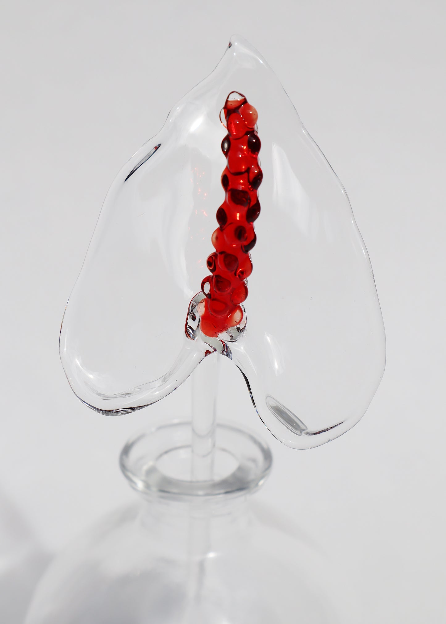 Glass Anthurium Vase #3