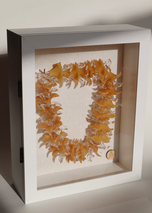 Perfectly Imperfect 40% OFF - Pua Melia Plumeria Flower Glass Lei in Shadowbox