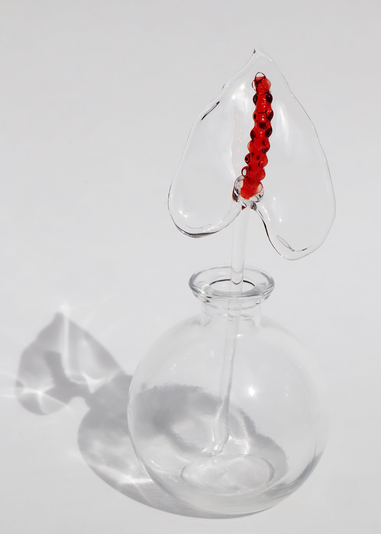 Glass Anthurium Vase #3
