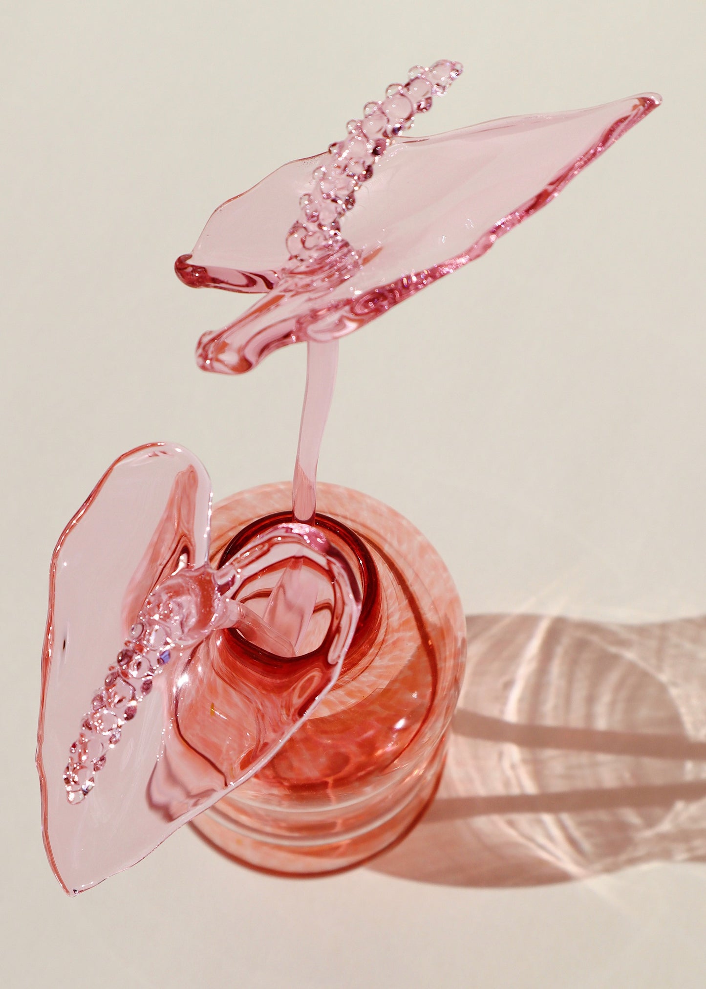 Glass Anthurium Vase Set #6