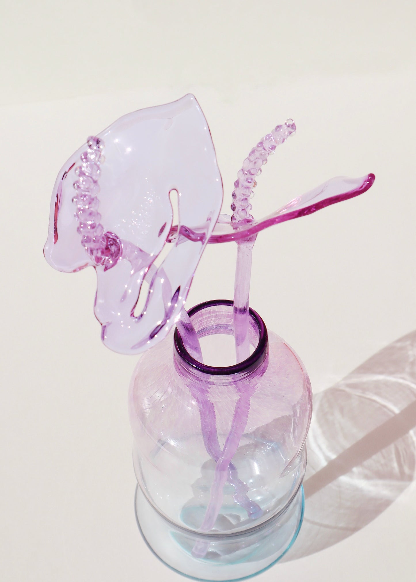 Glass Anthurium Vase Set #4