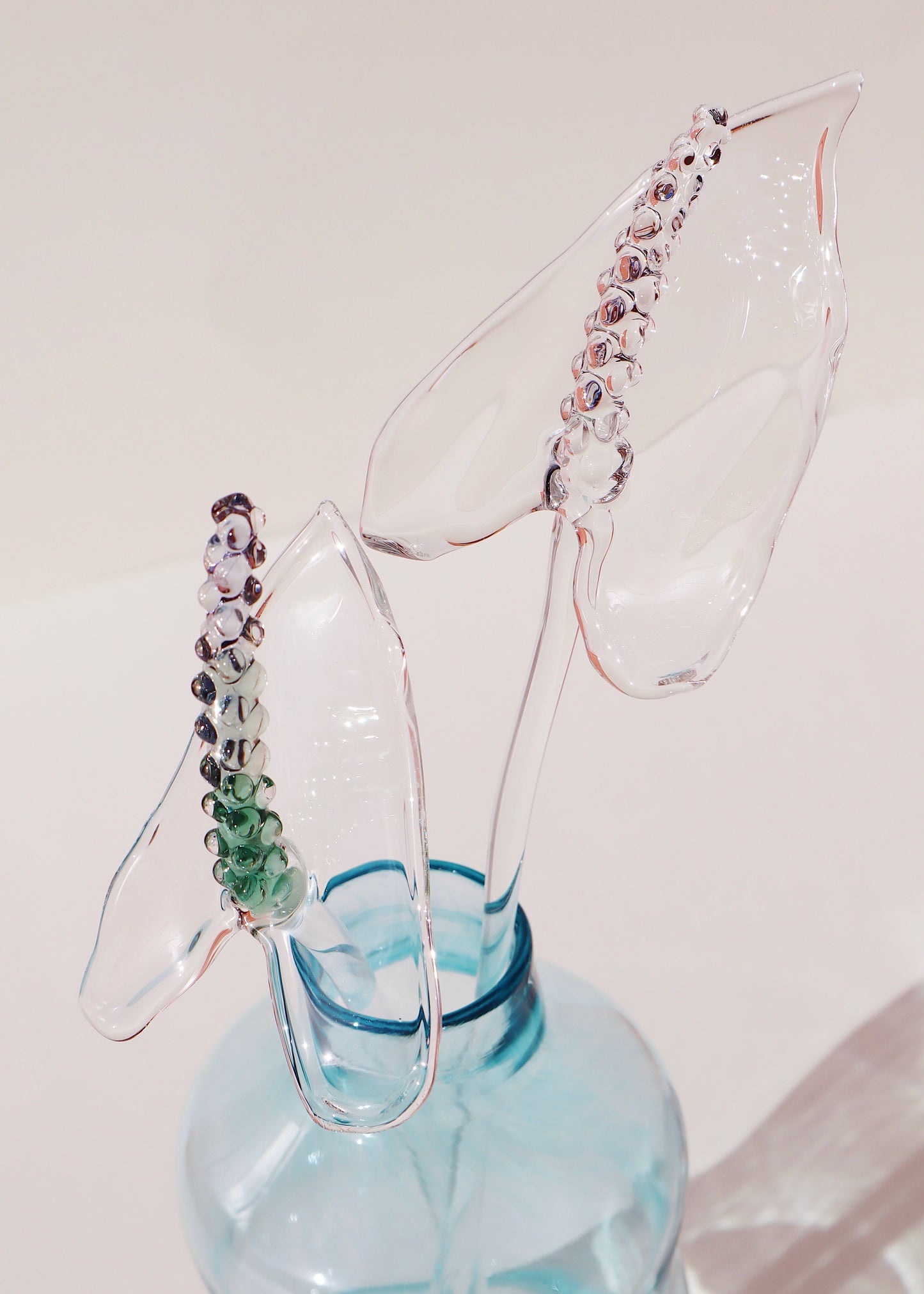 Glass Anthurium Vase Set #5