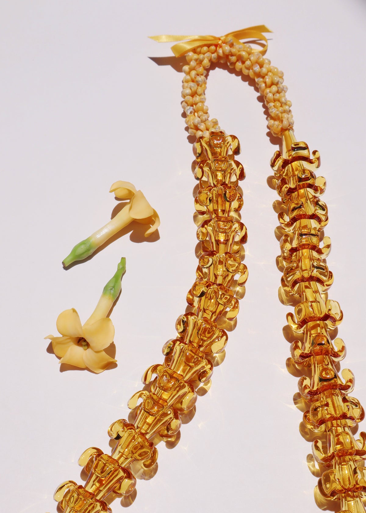 Full Glass Puakenikeni & Mongo Shell Lei with 45 Pua