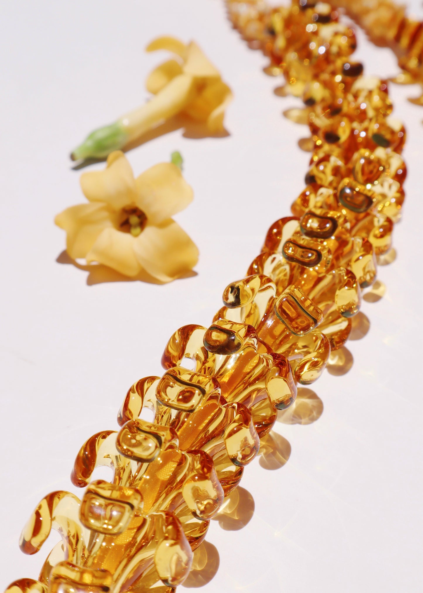 Full Glass Puakenikeni & Mongo Shell Lei with 45 Pua
