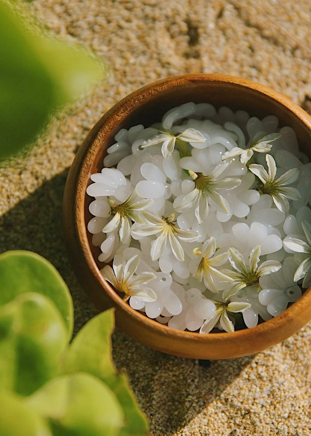 Single Naupaka Flowers