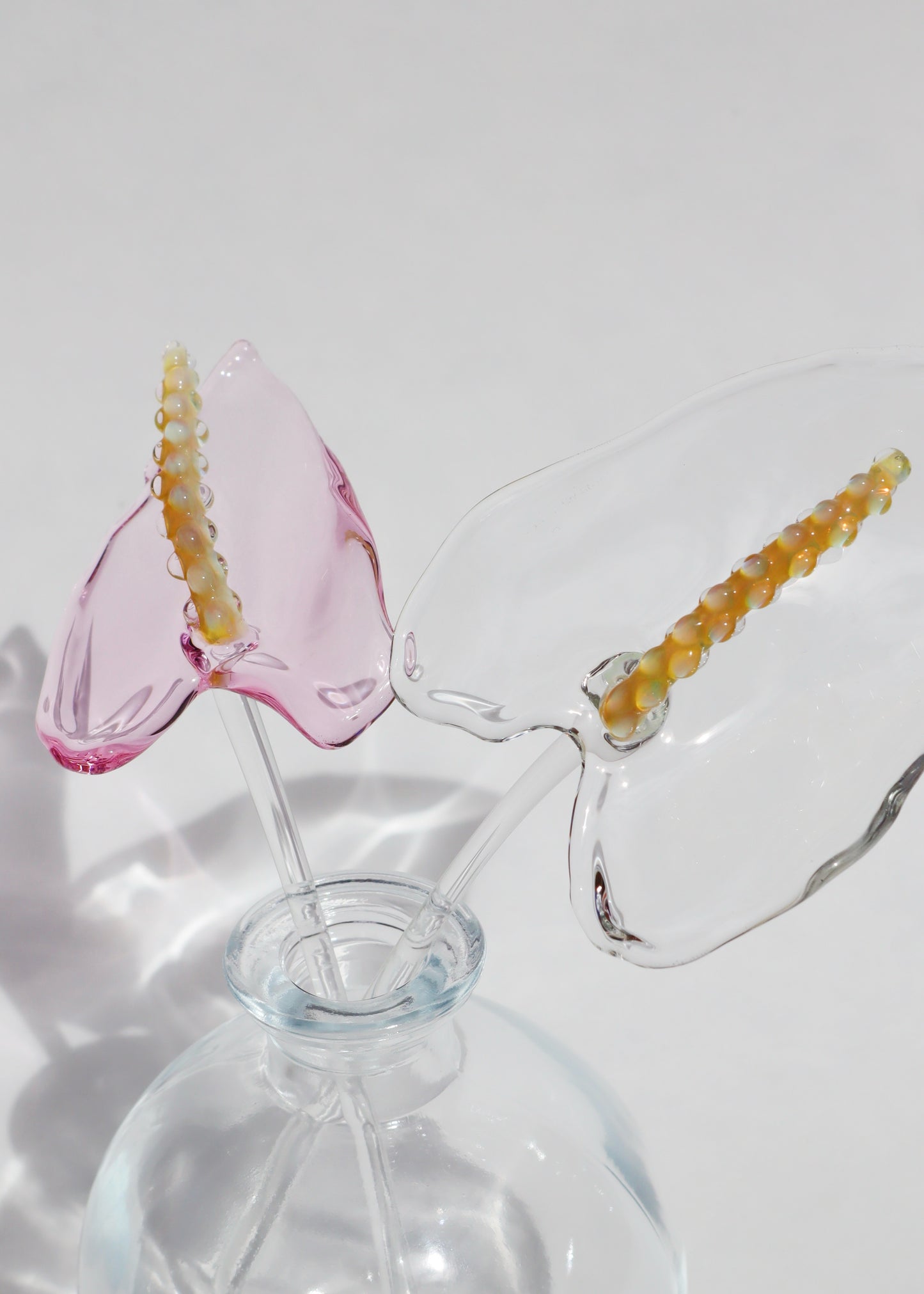 Glass Anthurium Vase (Set) #4