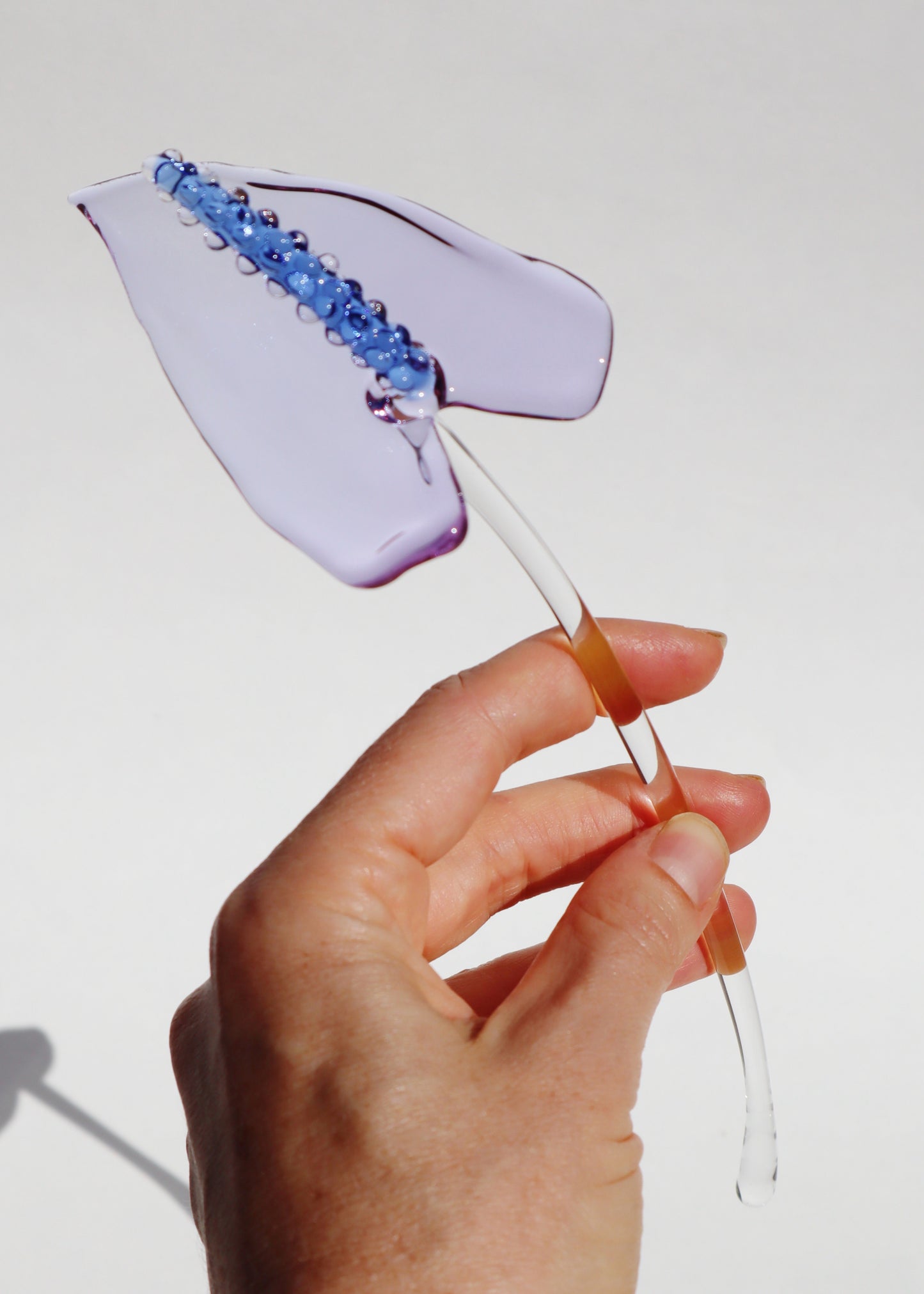 Glass Anthurium Single Stem