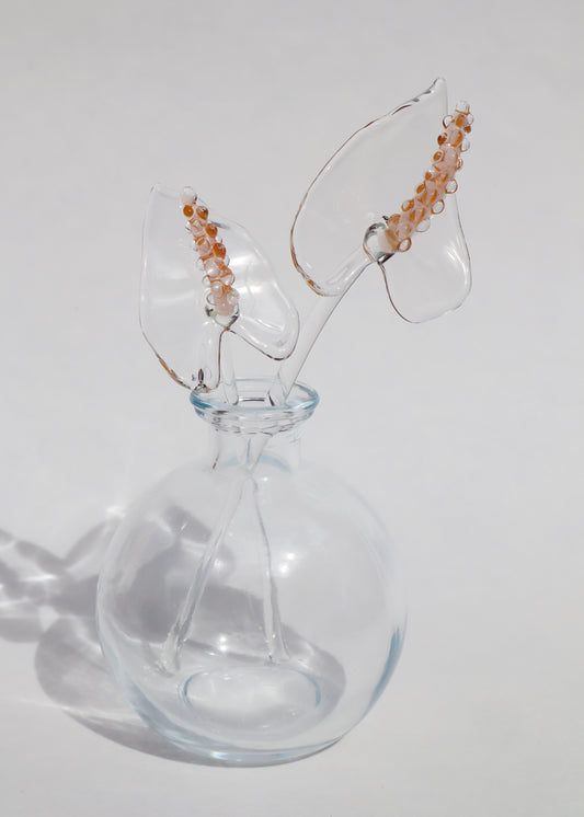 Glass Anthurium Vase Set #7