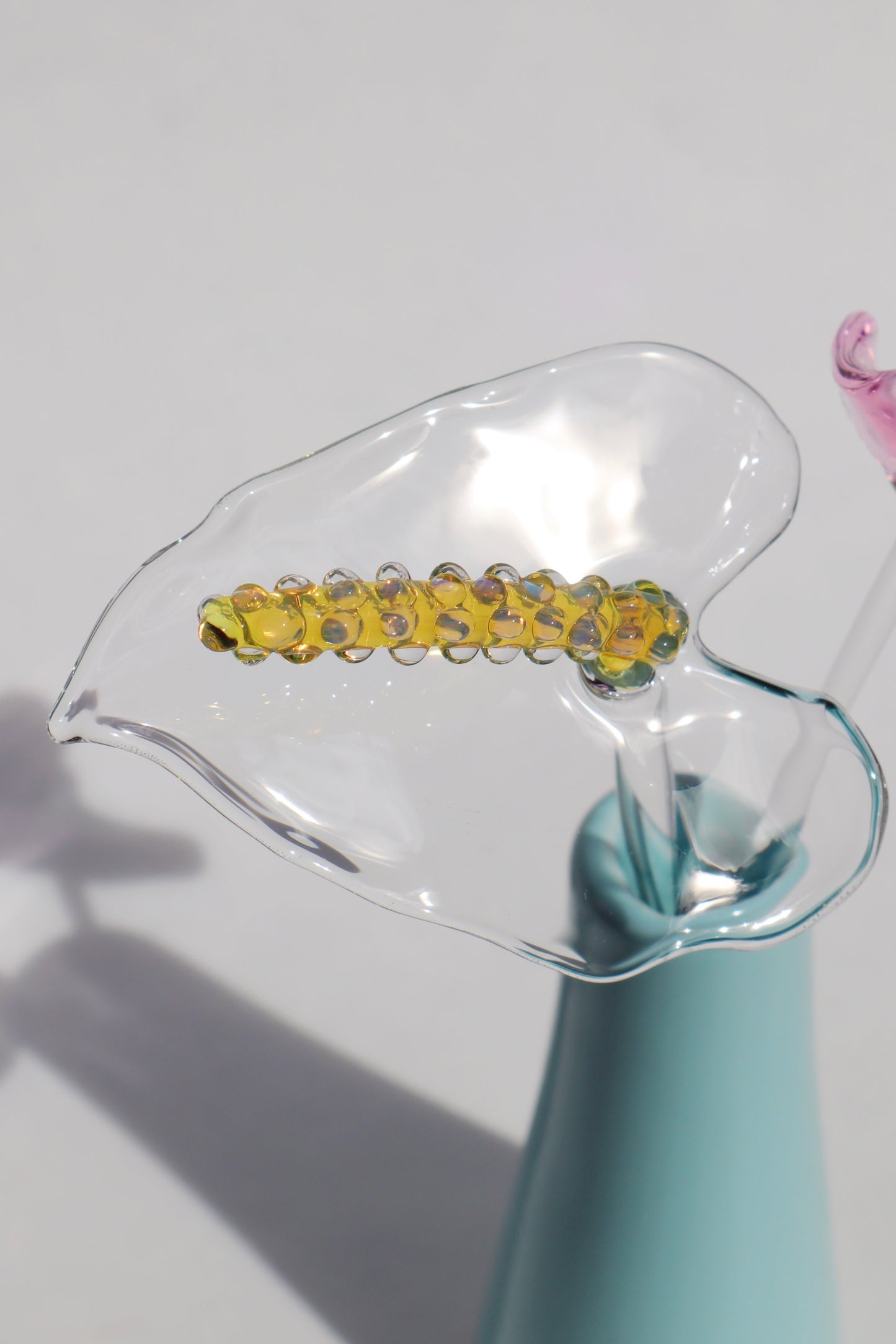 Glass Anthurium Vase (Set) #7