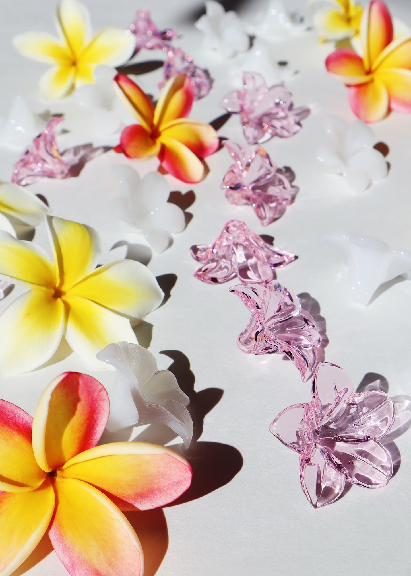 Single Pua Melia Plumeria Flowers - Translucent Pink & Milky White