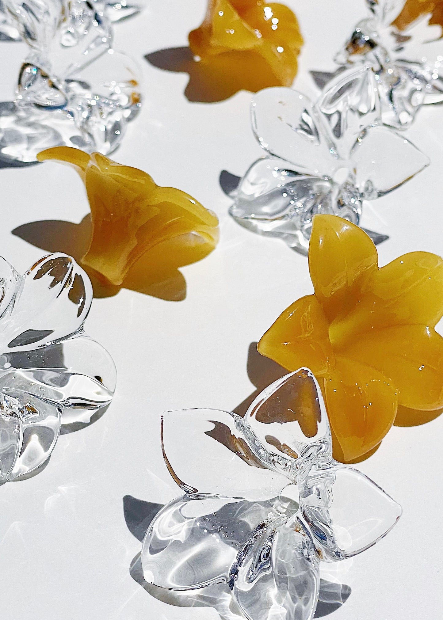 Single Pua Melia Plumeria Flowers ~ Regular, Lei Size