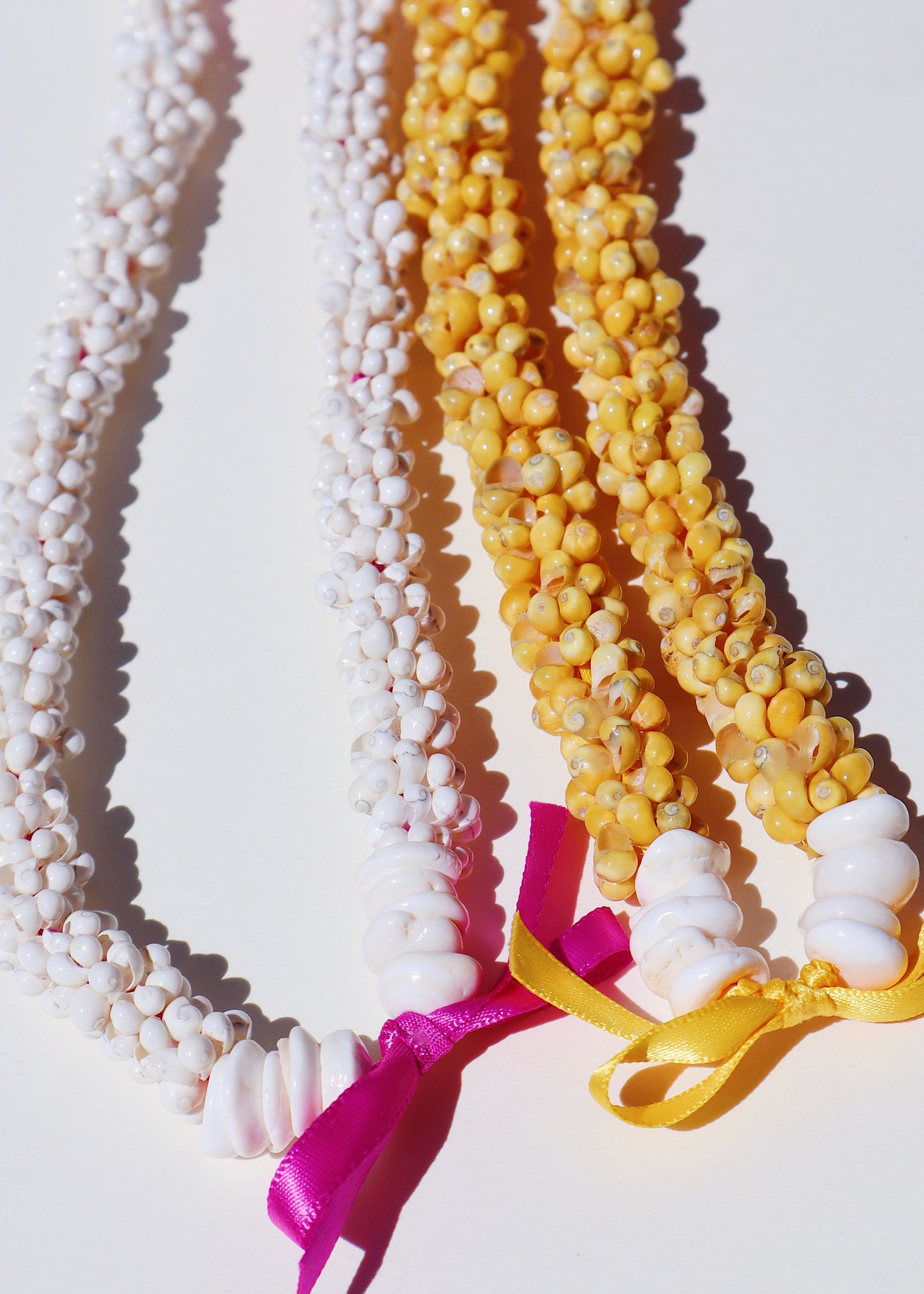 Pua Melia Plumeria Mongo Shell Lei with 6 Pua