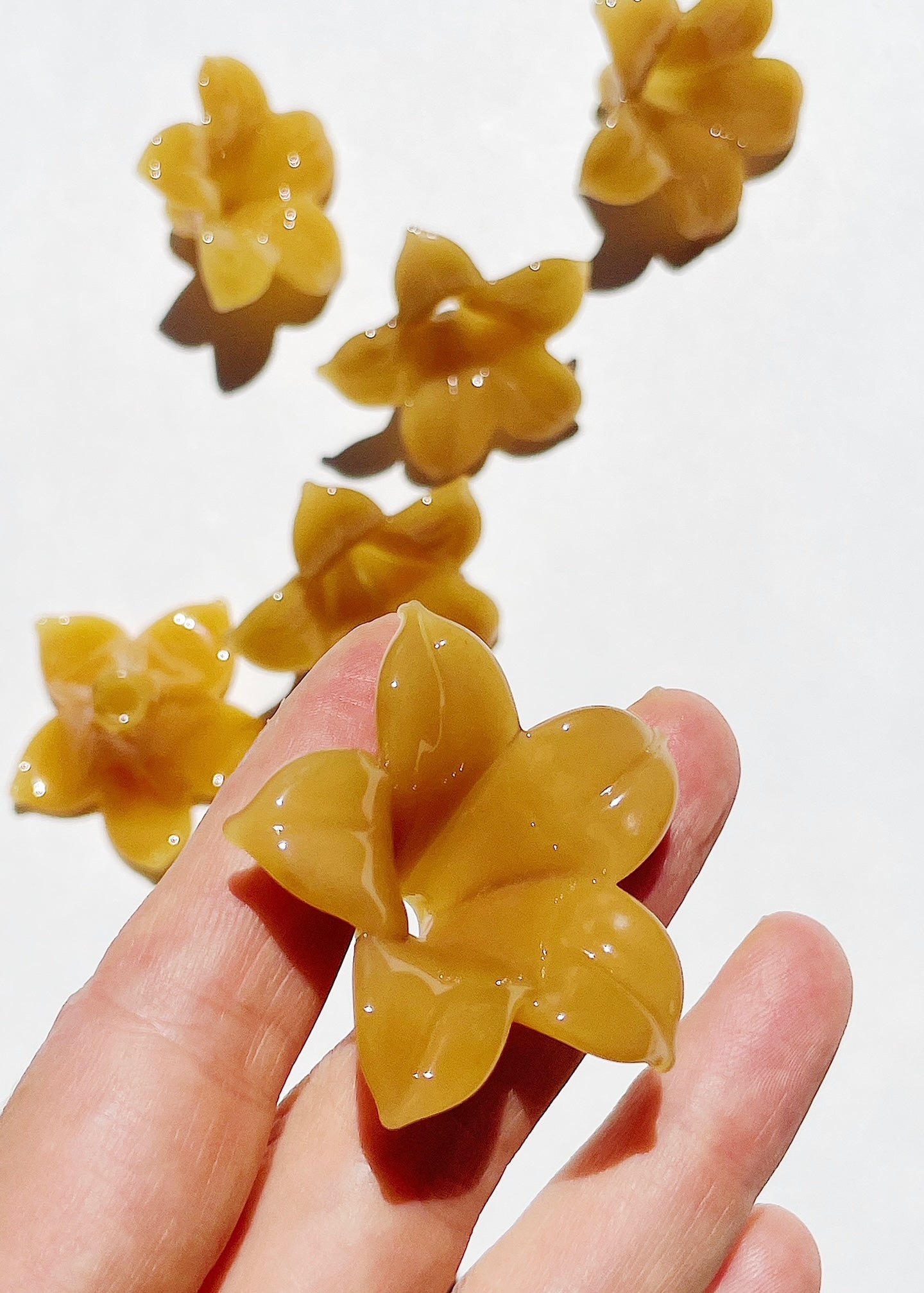 Perfectly Imperfect 40% OFF - Single Honey Yellow Pua Melia Plumeria Flowers ~ Regular, Lei Size