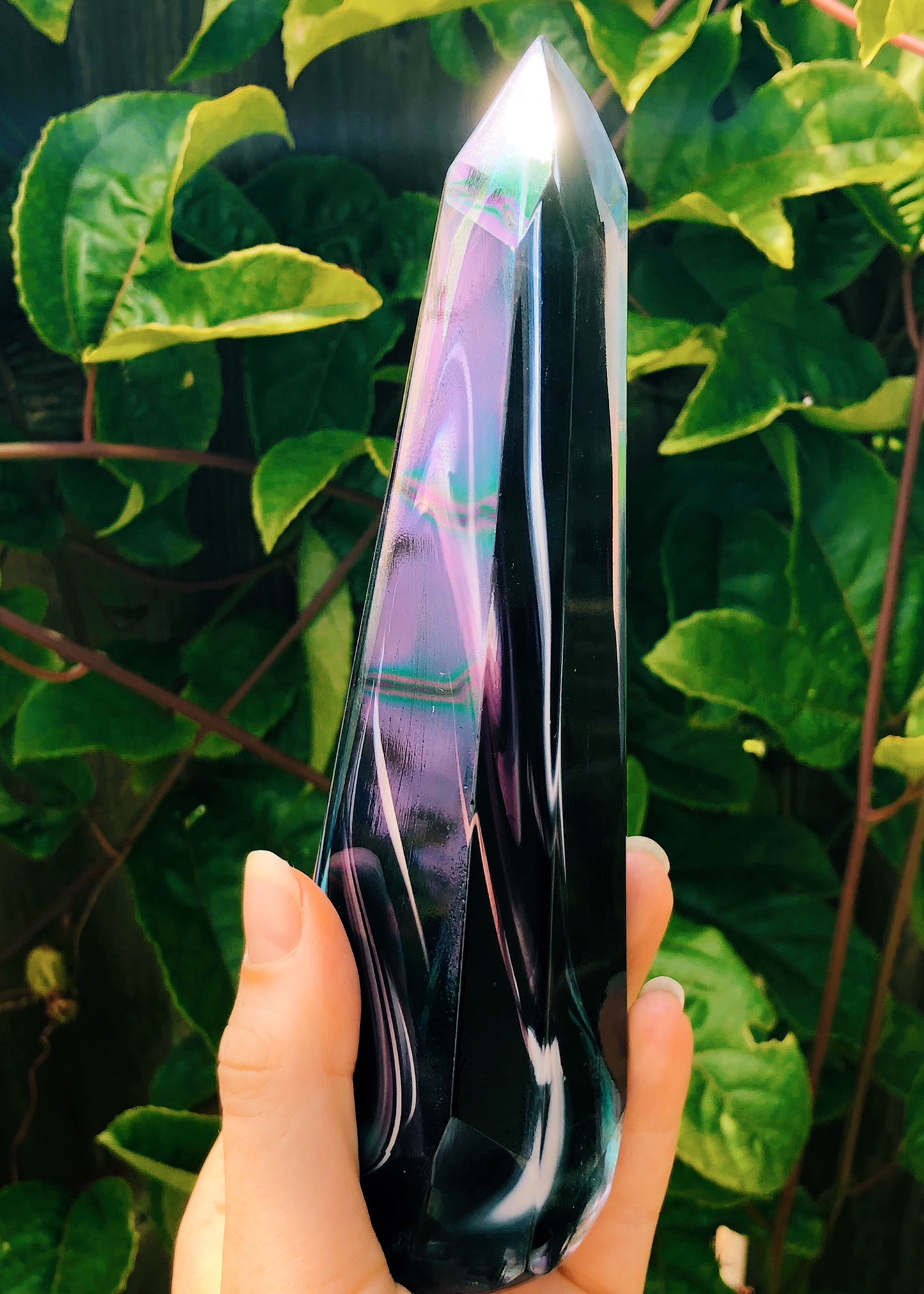 50% OFF SALE - Aura Art Crystal Sculptures