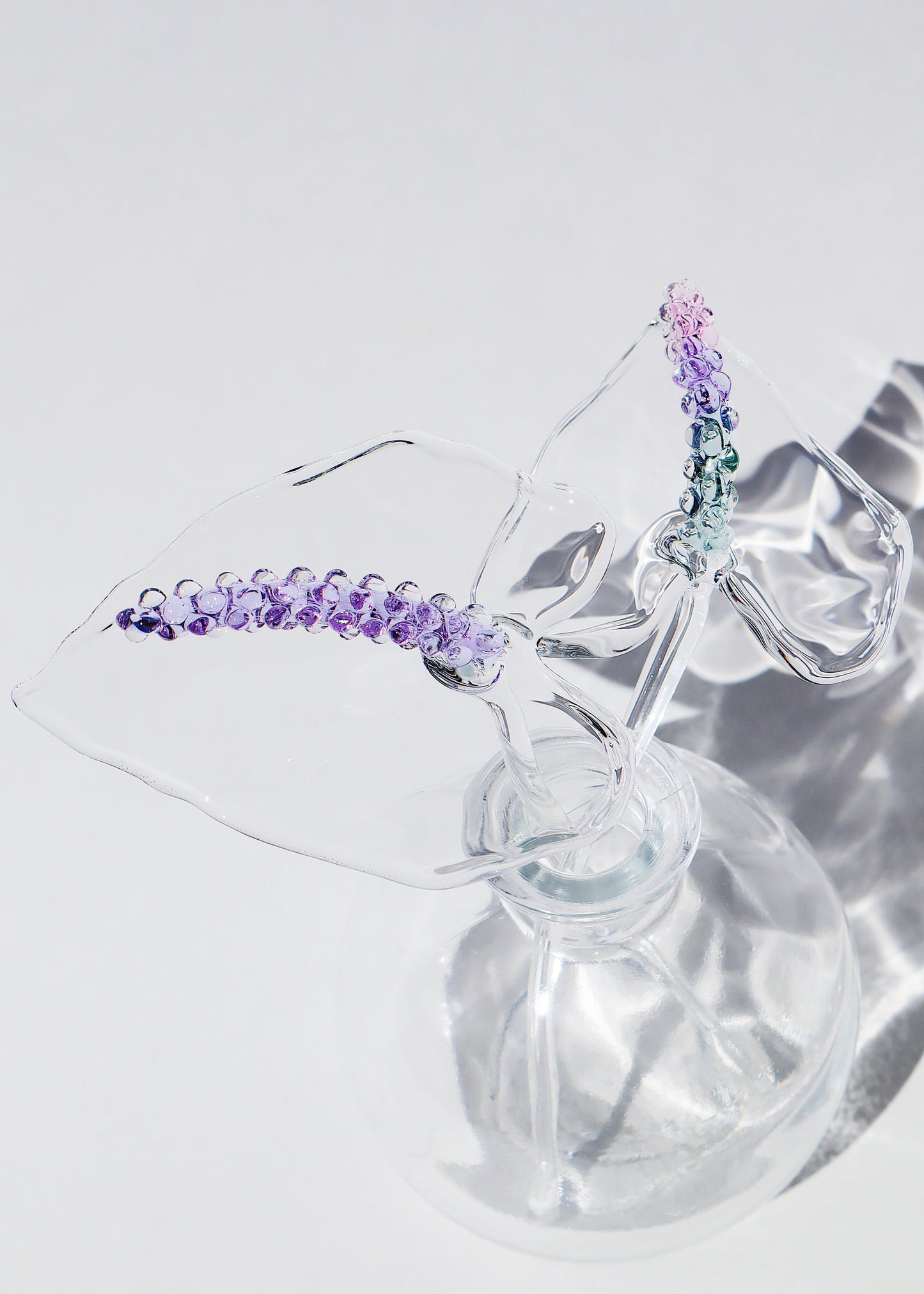Glass Anthurium Vase (Set) #9