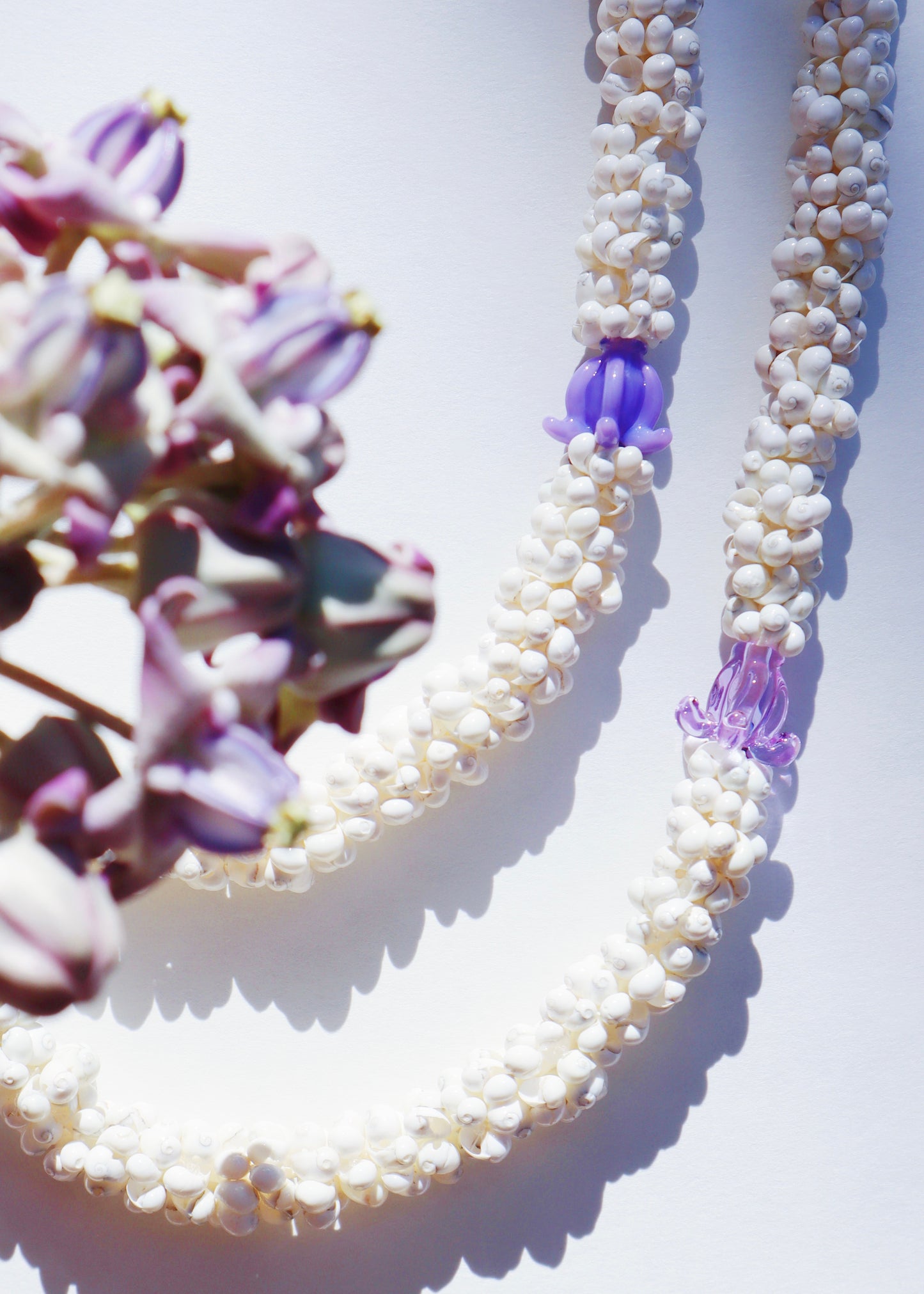 Crown Flower Mongo Shell Lei with 1 Glass Pua