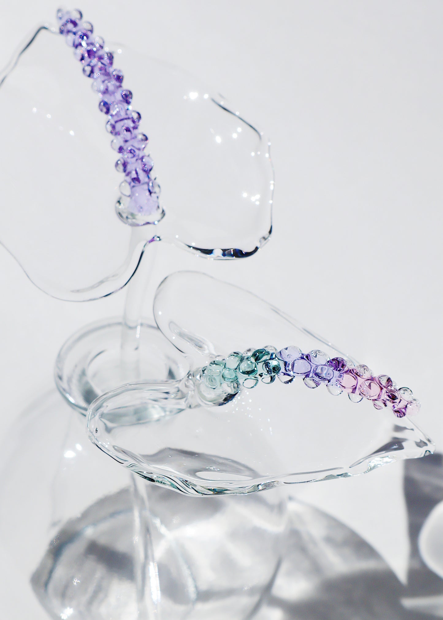 Glass Anthurium Vase (Set) #9