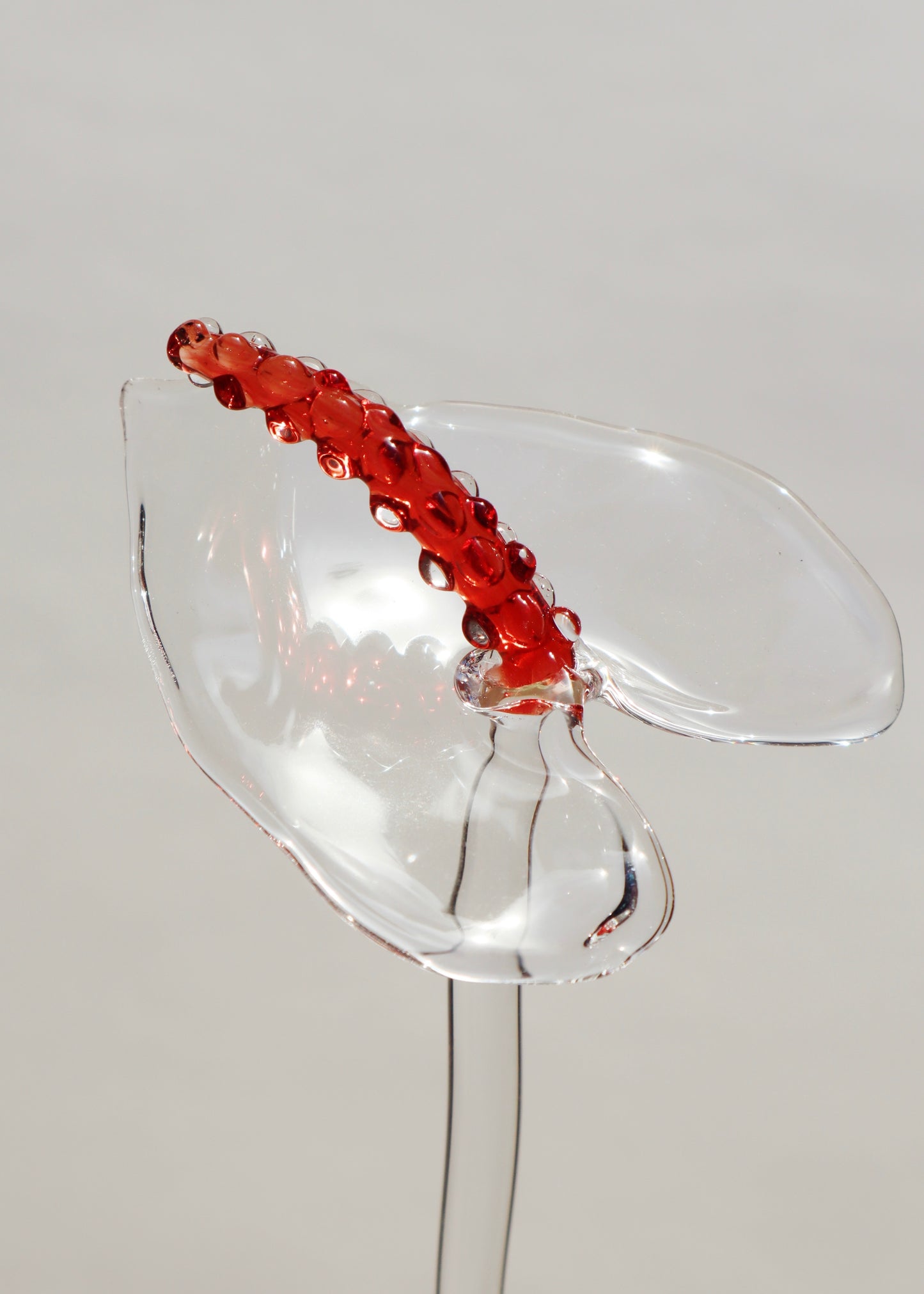 7" Glass Anthurium Single Stem #3