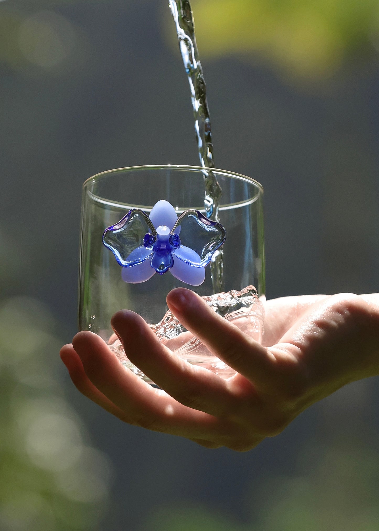 Orchid Single Wall Glasses