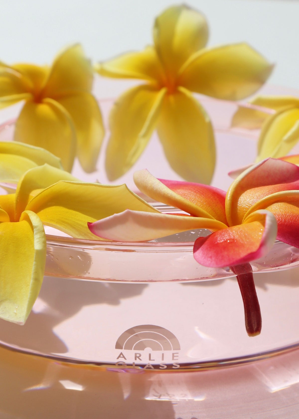 Pua Circle Vase