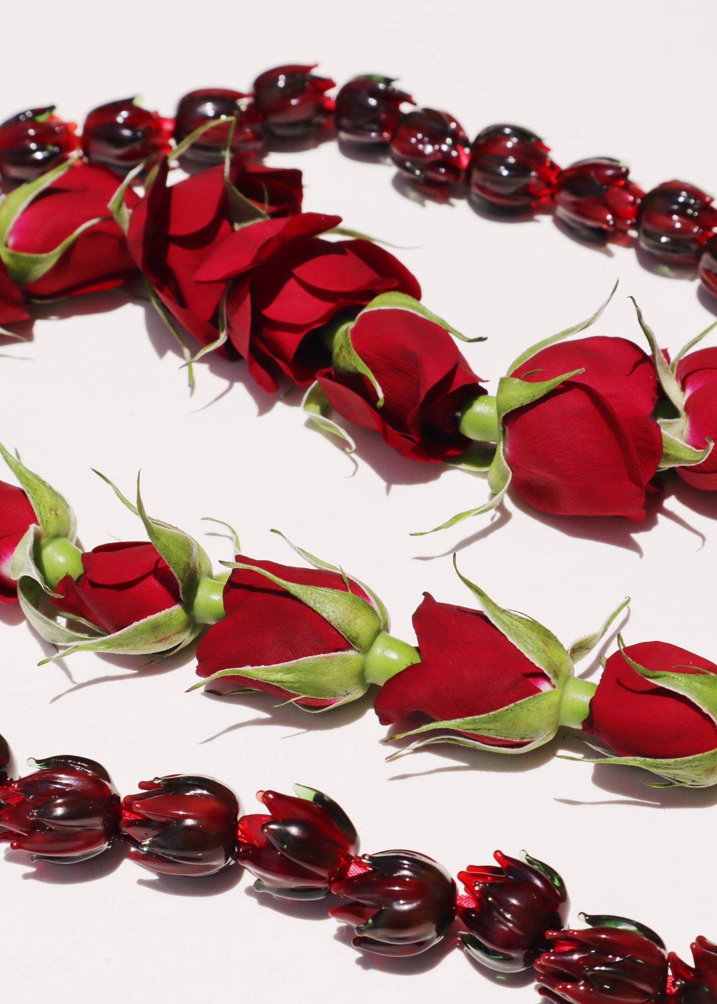 Full Glass Lokelani Rose Lei with 62 Pua