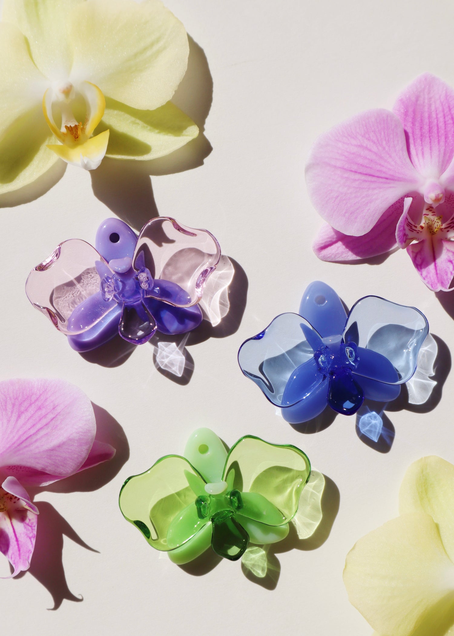 Orchid