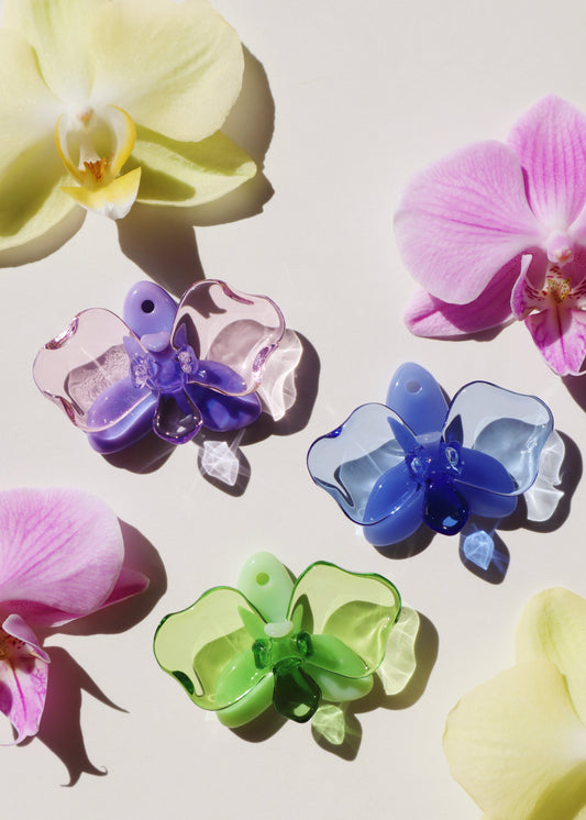 Single Orchid Flowers