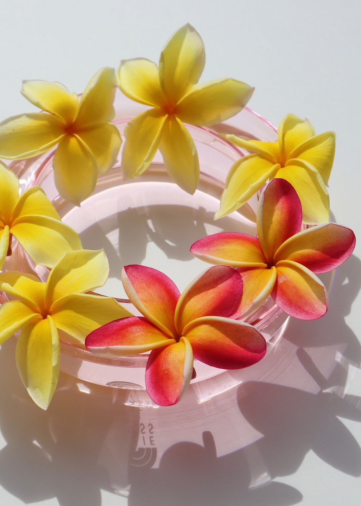Pua Circle Vase