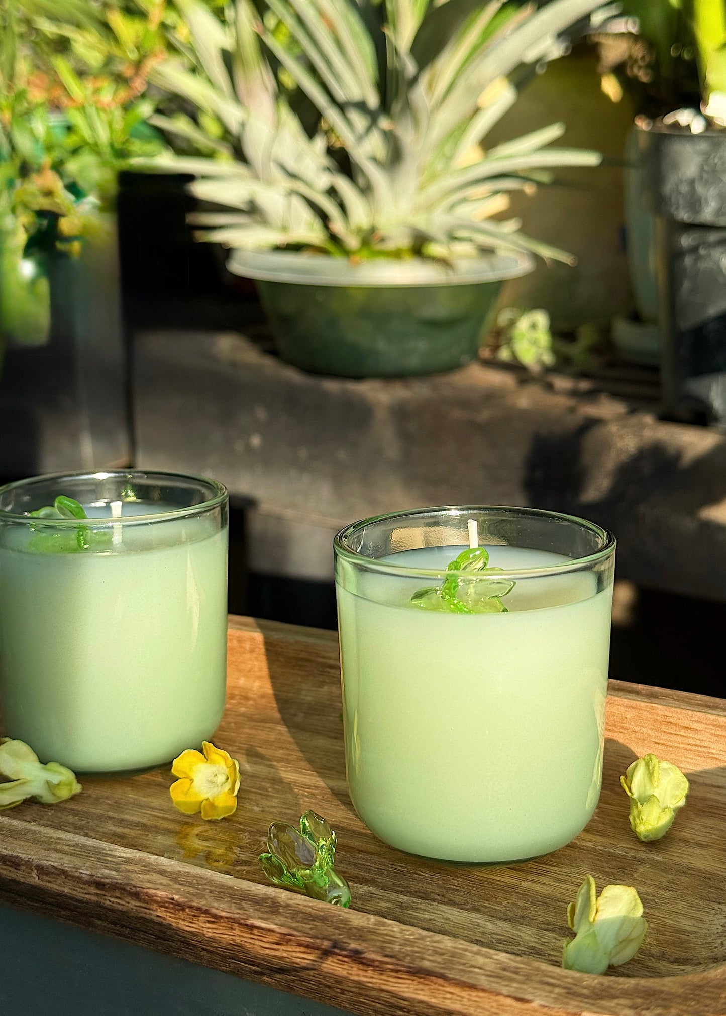 Jules & Gem X Arlie Glass - 3oz Candle Pakalana