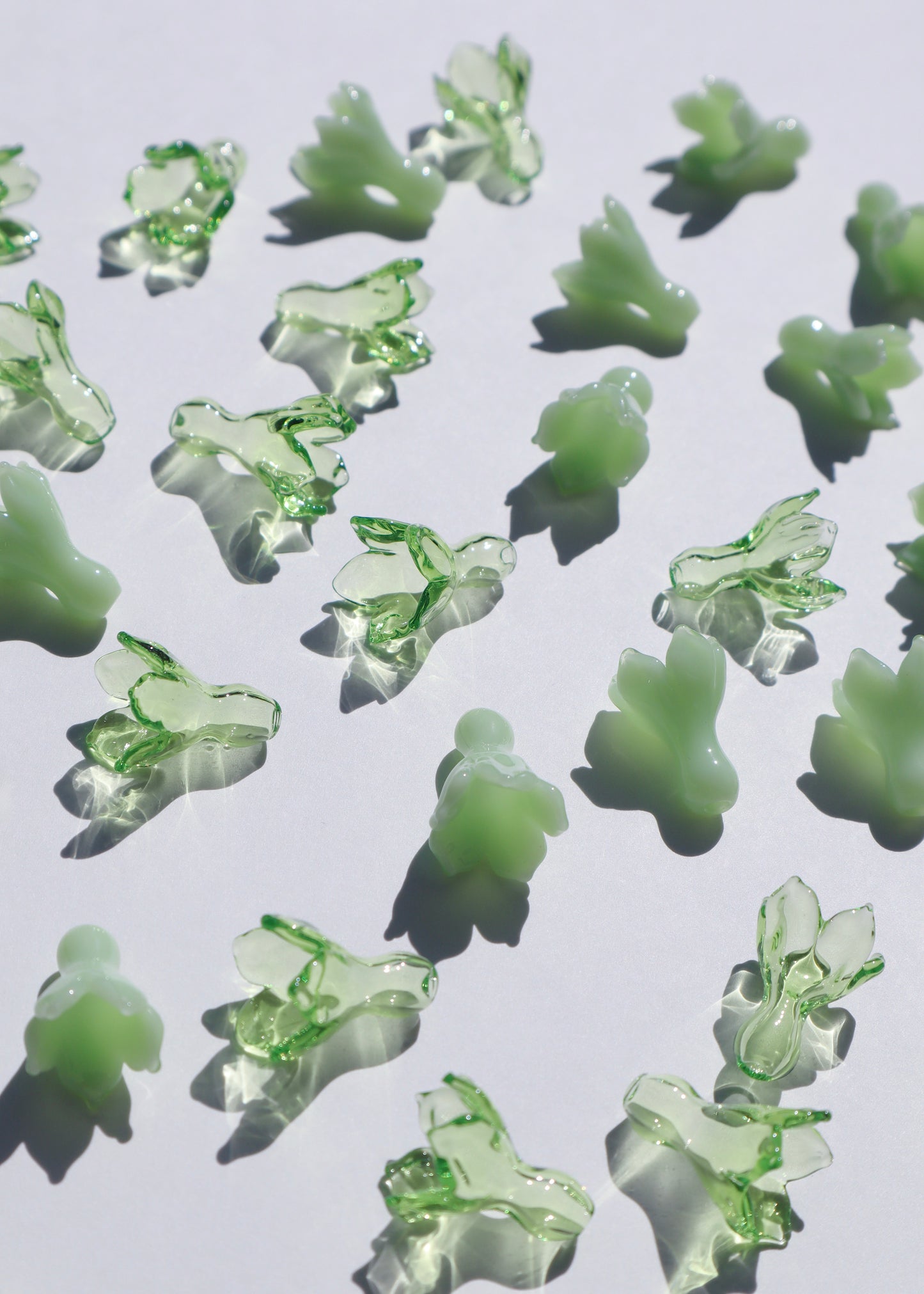 Single Pakalana Flowers