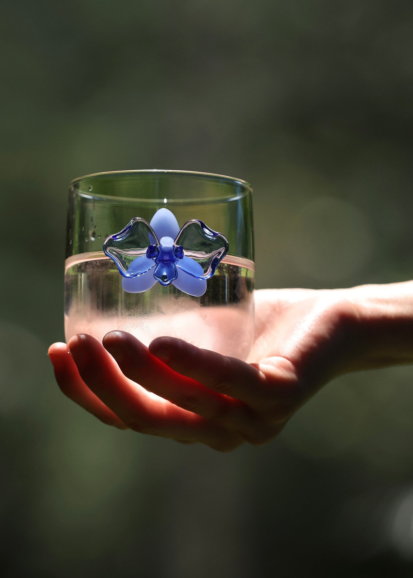 Orchid Single Wall Glasses