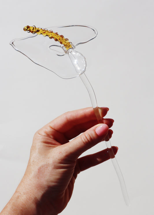 Perfectly Imperfect 30% OFF - Anthurium Stem