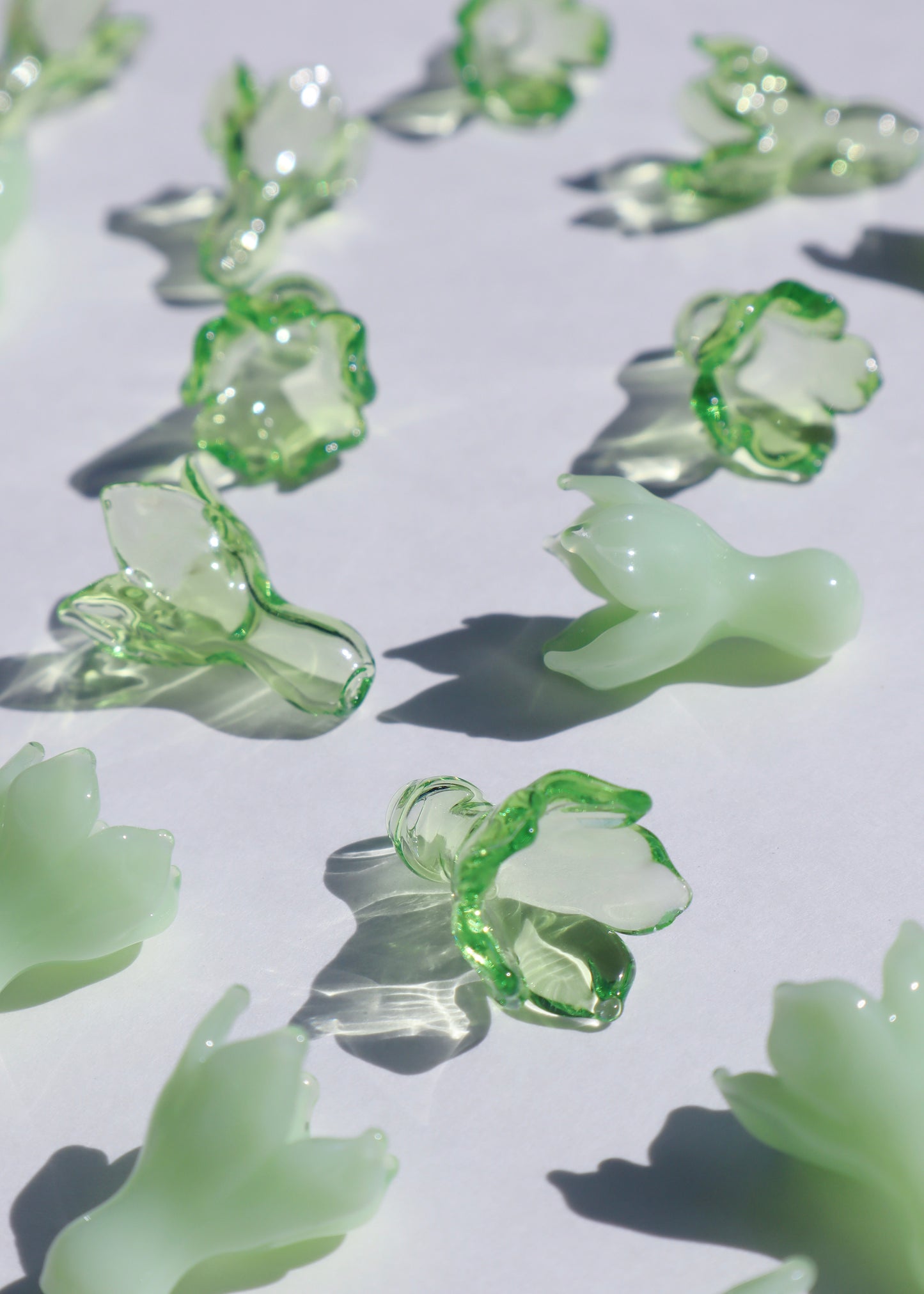 Single Pakalana Flowers