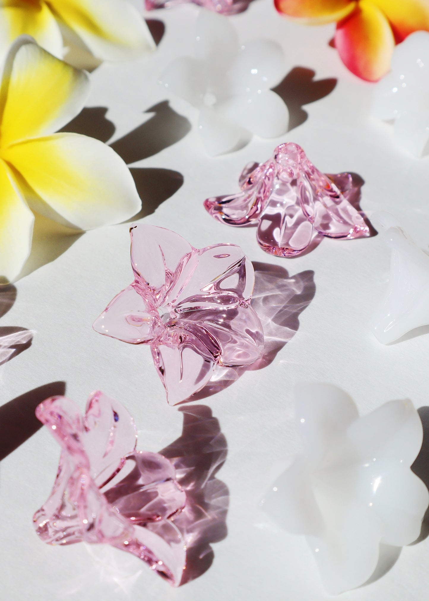 Single Pua Melia Plumeria Flowers - Translucent Pink & Milky White
