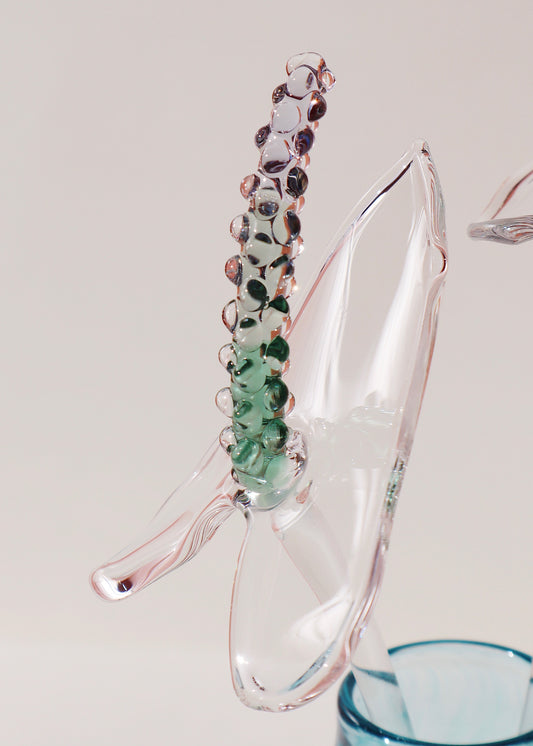 Glass Anthurium Vase Set  #5