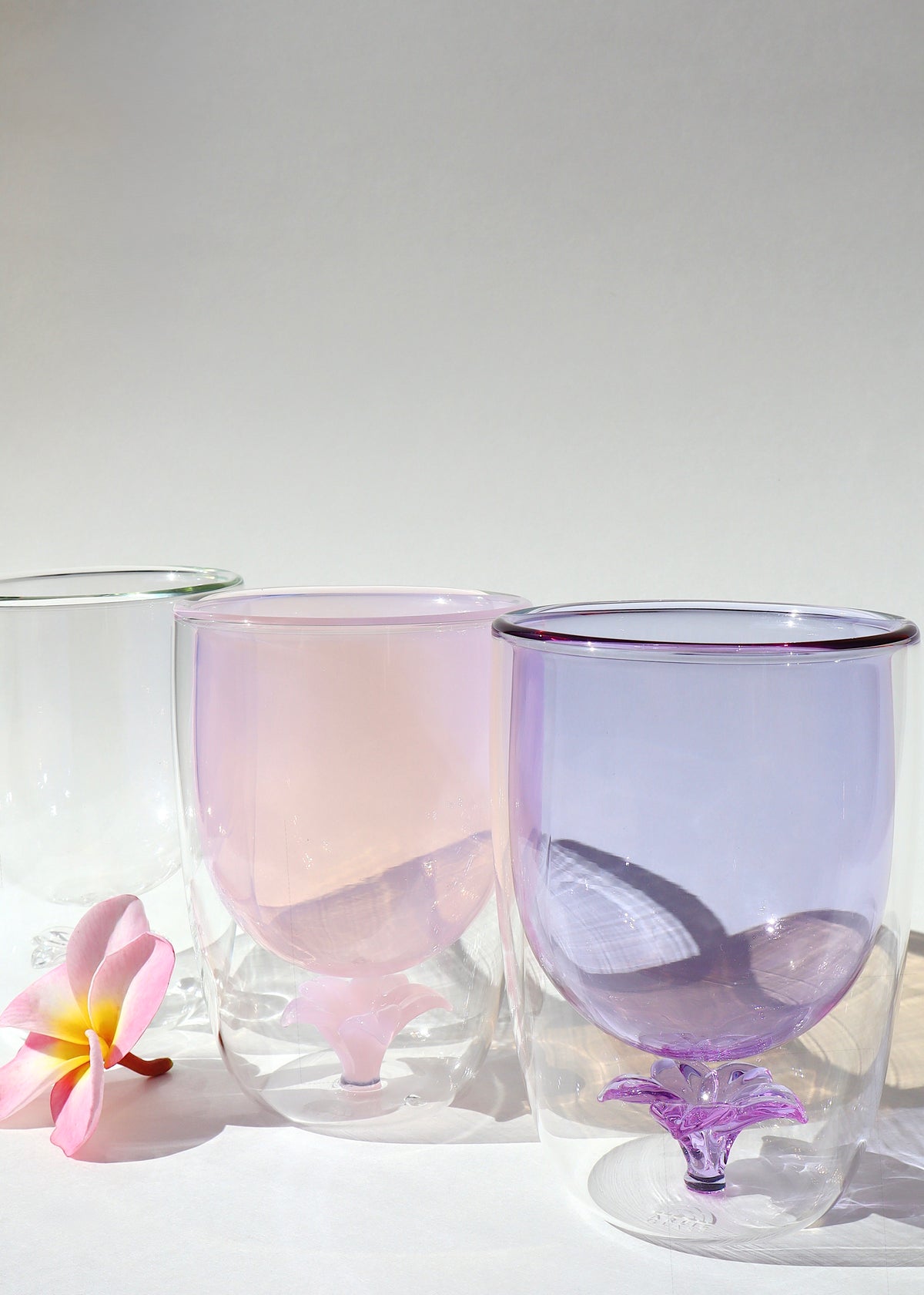 LIMITED RELEASE Plumeria Glass Tumbler Cup