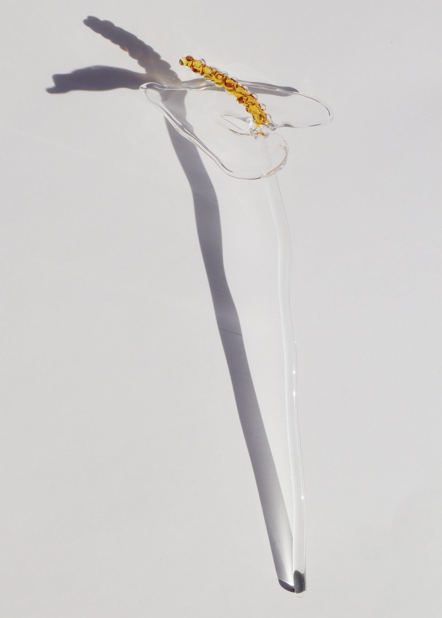 Perfectly Imperfect 30% OFF - Anthurium Stem