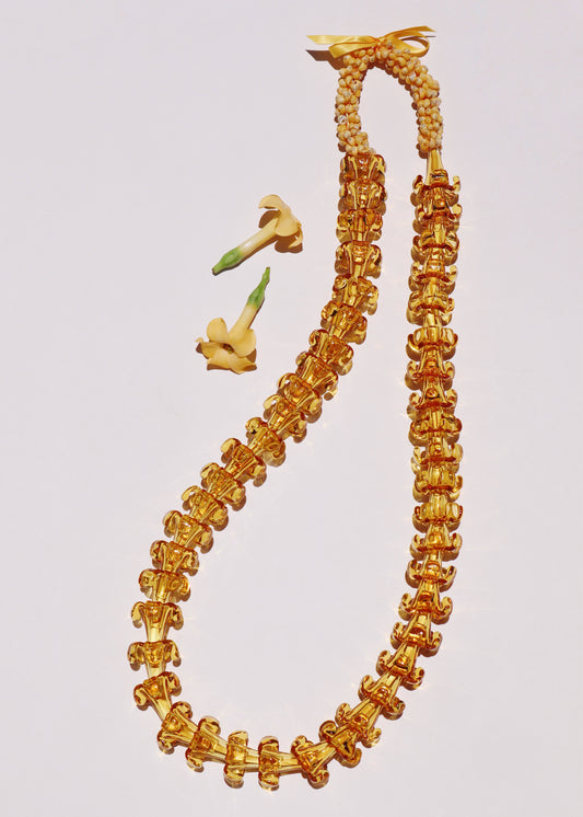 Full Glass Puakenikeni & Mongo Shell Lei with 45 Pua