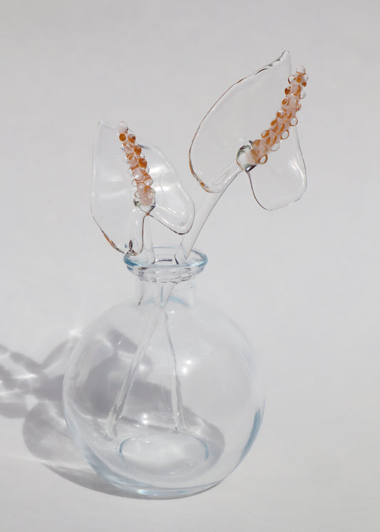 Glass Anthurium Vase Set #7