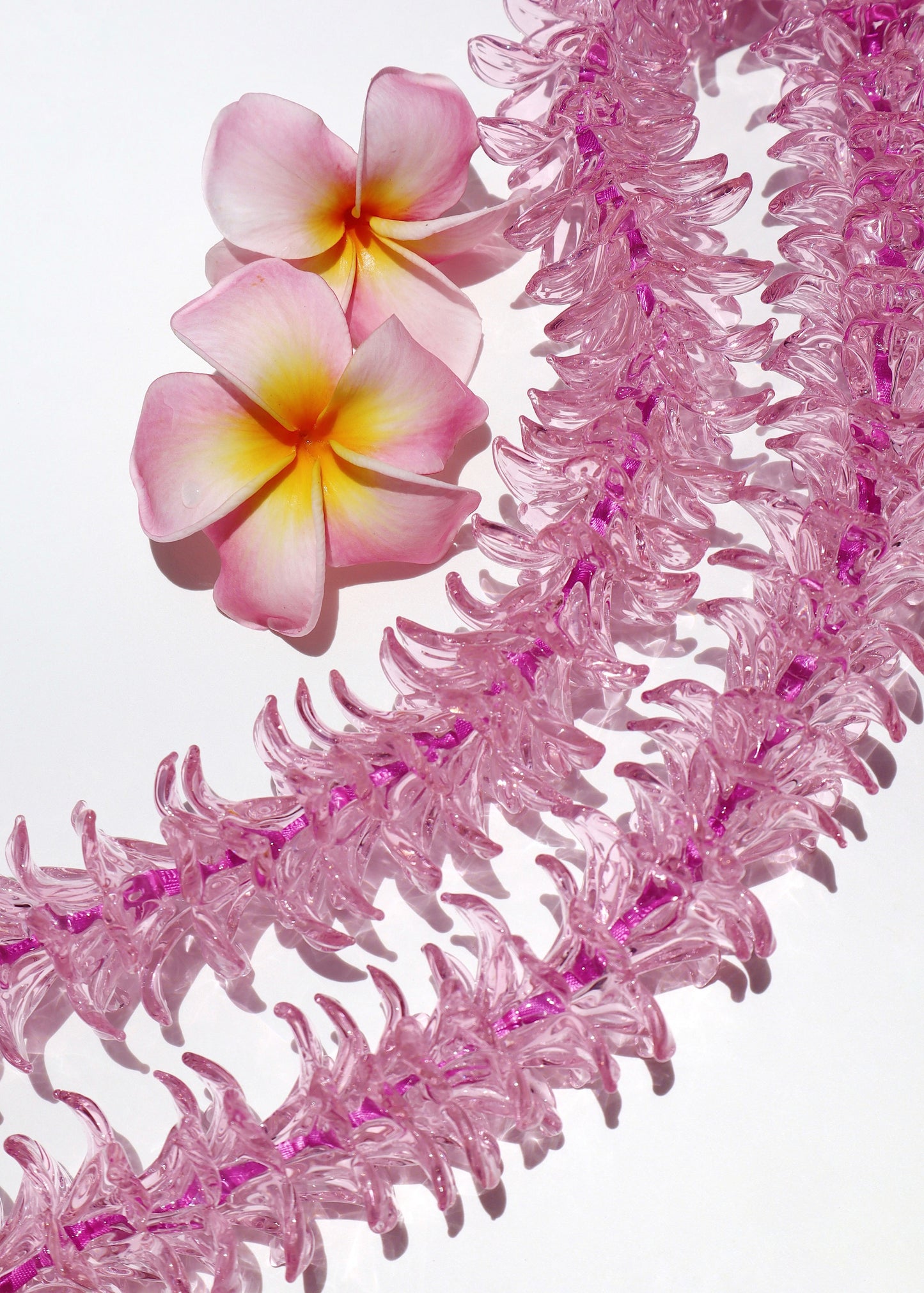 Full Glass Forever Lei in Pink Pua Melia Plumeria