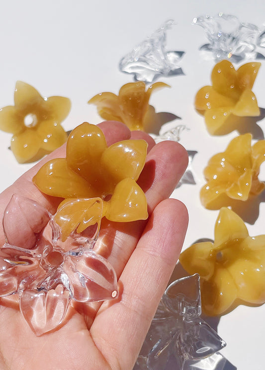 Single Pua Melia Plumeria Flowers - Clear & Honey Yellow