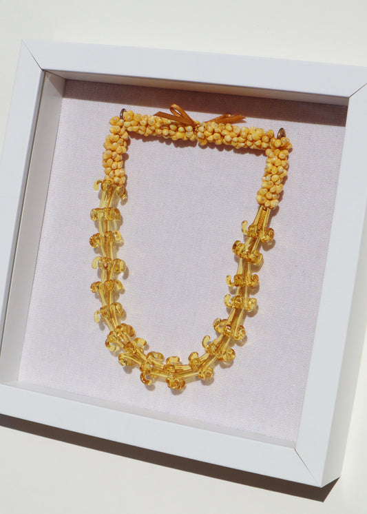 Perfectly Imperfect 40% OFF - Puakenikeni Glass Mongo Shell Lei in 9" x 9" Shadowbox