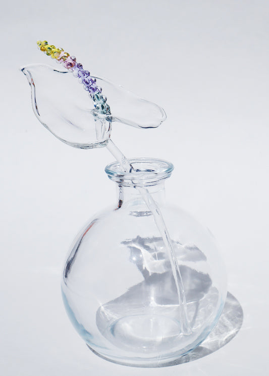 Glass Anthurium Vase #6
